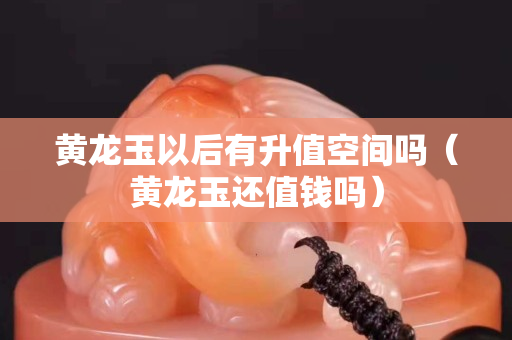 黃龍玉以后有升值空間嗎（黃龍玉還值錢嗎）