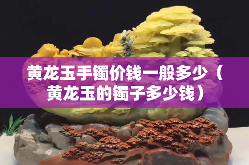 黃龍玉手鐲價錢一般多少（黃龍玉的鐲子多少錢）