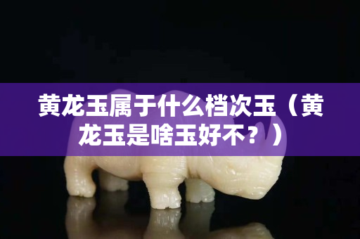黃龍玉屬于什么檔次玉（黃龍玉是啥玉好不？）