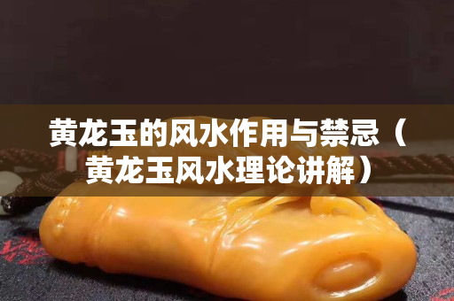 黃龍玉的風水作用與禁忌（黃龍玉風水理論講解）
