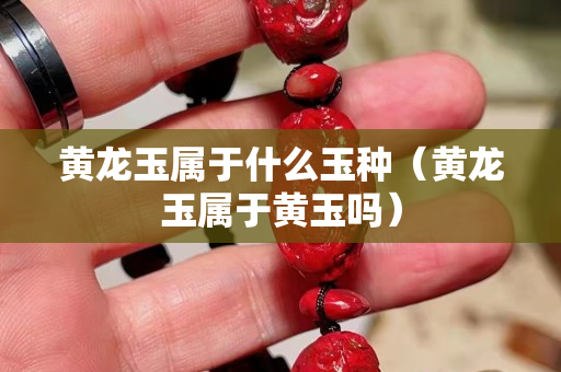 黃龍玉屬于什么玉種（黃龍玉屬于黃玉嗎）