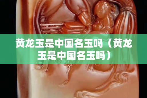 黃龍玉是中國名玉嗎（黃龍玉是中國名玉嗎）