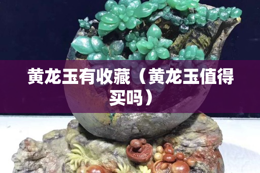 黃龍玉有收藏（黃龍玉值得買嗎）