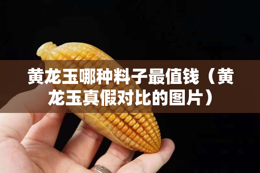 黃龍玉哪種料子最值錢（黃龍玉真假對比的圖片）