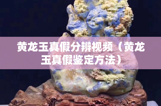 黃龍玉真假分辨視頻（黃龍玉真假鑒定方法）