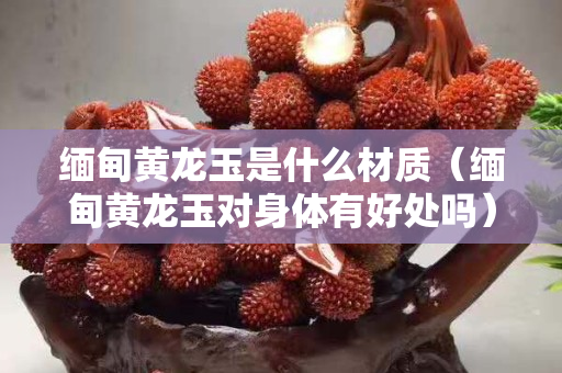 緬甸黃龍玉是什么材質（緬甸黃龍玉對身體有好處嗎）