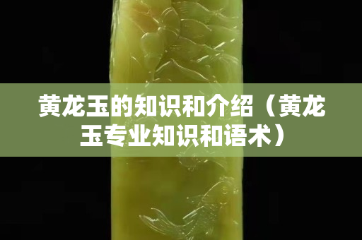 黃龍玉的知識和介紹（黃龍玉專業知識和語術）