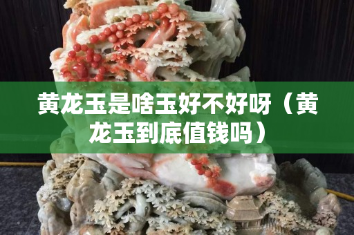 黃龍玉是啥玉好不好呀（黃龍玉到底值錢嗎）