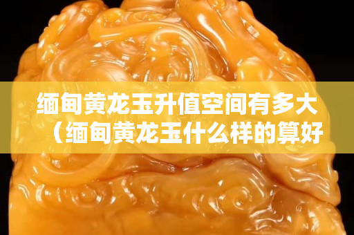 緬甸黃龍玉升值空間有多大（緬甸黃龍玉什么樣的算好品質(zhì)）