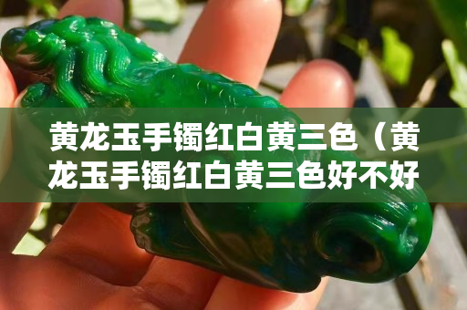 黃龍玉手鐲紅白黃三色（黃龍玉手鐲紅白黃三色好不好）