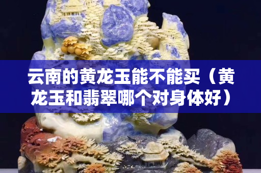 云南的黃龍玉能不能買（黃龍玉和翡翠哪個對身體好）