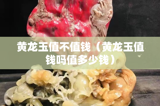 黃龍玉值不值錢（黃龍玉值錢嗎值多少錢）