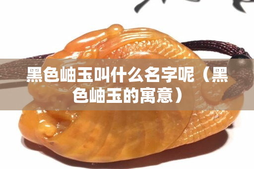 黑色岫玉叫什么名字呢（黑色岫玉的寓意）