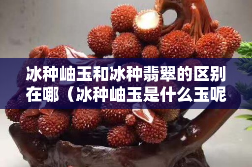 冰種岫玉和冰種翡翠的區別在哪（冰種岫玉是什么玉呢）
