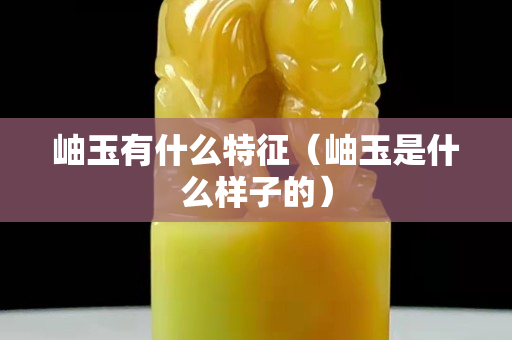 岫玉有什么特征（岫玉是什么樣子的）