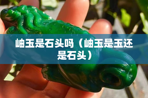岫玉是石頭嗎（岫玉是玉還是石頭）