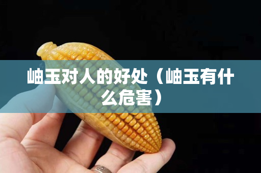 岫玉對人的好處（岫玉有什么危害）