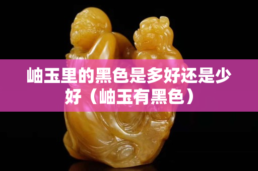 岫玉里的黑色是多好還是少好（岫玉有黑色）