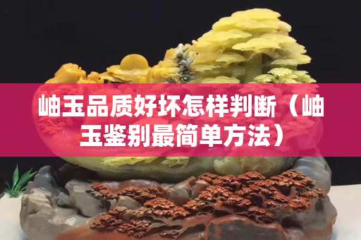岫玉品質好壞怎樣判斷（岫玉鑒別最簡單方法）