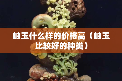 岫玉什么樣的價格高（岫玉比較好的種類）