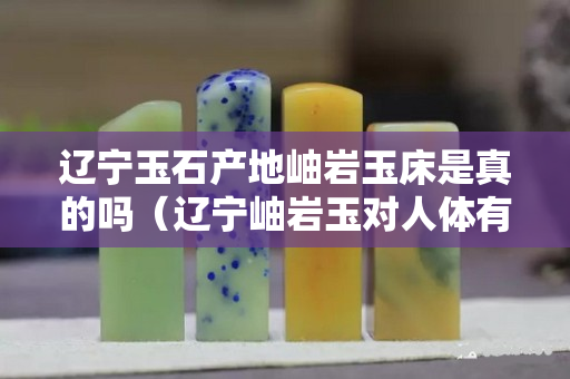 遼寧玉石產地岫巖玉床是真的嗎（遼寧岫巖玉對人體有什么好處）