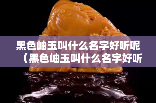黑色岫玉叫什么名字好聽呢（黑色岫玉叫什么名字好聽呢女）