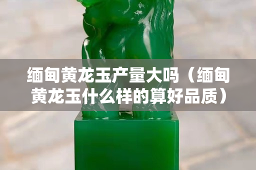 緬甸黃龍玉產量大嗎（緬甸黃龍玉什么樣的算好品質）