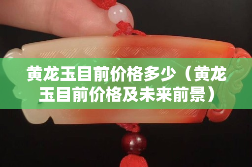 黃龍玉目前價格多少（黃龍玉目前價格及未來前景）