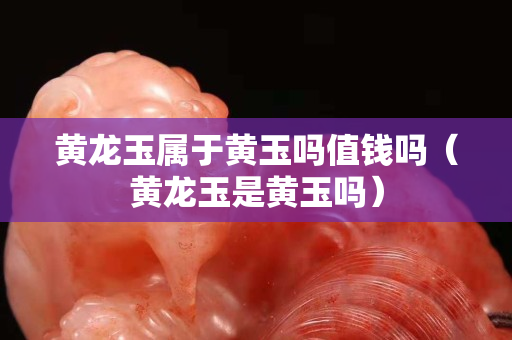 黃龍玉屬于黃玉嗎值錢嗎（黃龍玉是黃玉嗎）
