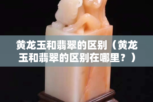 黃龍玉和翡翠的區(qū)別（黃龍玉和翡翠的區(qū)別在哪里？）