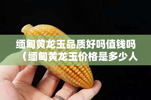 緬甸黃龍玉品質(zhì)好嗎值錢嗎（緬甸黃龍玉價格是多少人民幣）