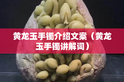 黃龍玉手鐲介紹文案（黃龍玉手鐲講解詞）