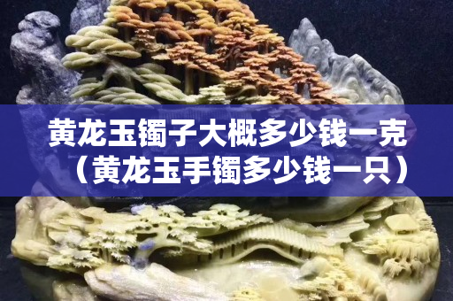 黃龍玉鐲子大概多少錢一克（黃龍玉手鐲多少錢一只）