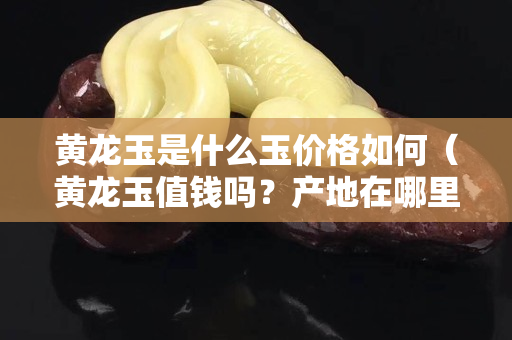 黃龍玉是什么玉價格如何（黃龍玉值錢嗎？產地在哪里）