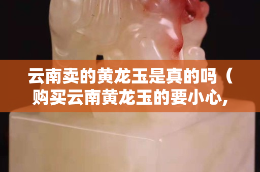 云南賣的黃龍玉是真的嗎（購買云南黃龍玉的要小心,求真相!!!）