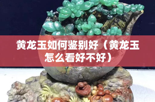 黃龍玉如何鑒別好（黃龍玉怎么看好不好）