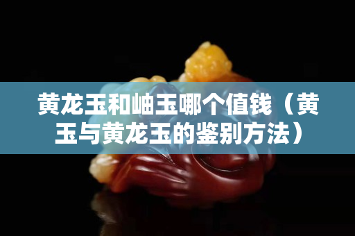 黃龍玉和岫玉哪個(gè)值錢（黃玉與黃龍玉的鑒別方法）