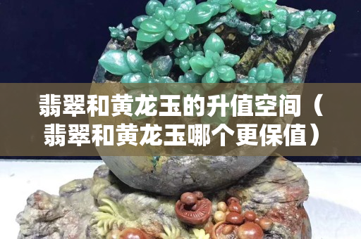 翡翠和黃龍玉的升值空間（翡翠和黃龍玉哪個更保值）