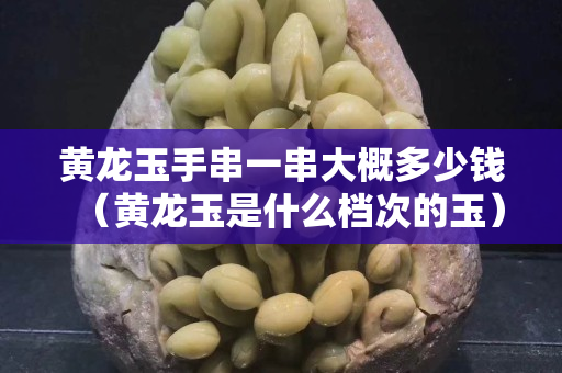 黃龍玉手串一串大概多少錢（黃龍玉是什么檔次的玉）