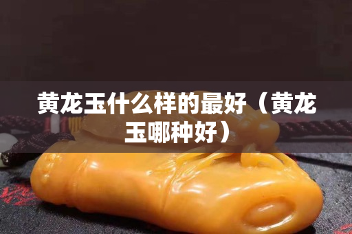 黃龍玉什么樣的最好（黃龍玉哪種好）