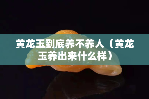 黃龍玉到底養不養人（黃龍玉養出來什么樣）