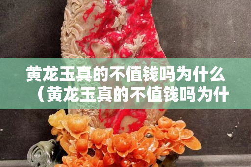 黃龍玉真的不值錢嗎為什么（黃龍玉真的不值錢嗎為什么那么貴）