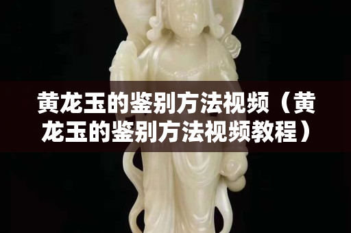 黃龍玉的鑒別方法視頻（黃龍玉的鑒別方法視頻教程）