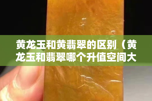 黃龍玉和黃翡翠的區別（黃龍玉和翡翠哪個升值空間大）