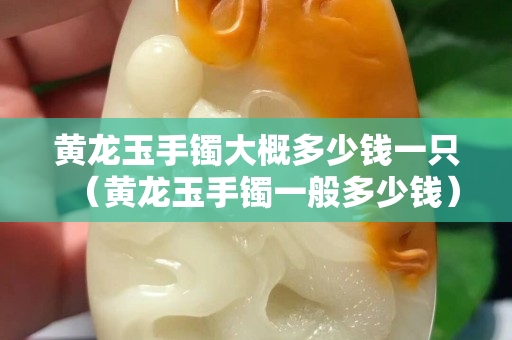 黃龍玉手鐲大概多少錢一只（黃龍玉手鐲一般多少錢）