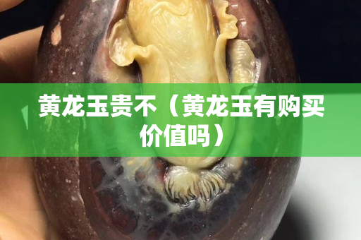 黃龍玉貴不（黃龍玉有購買價值嗎）