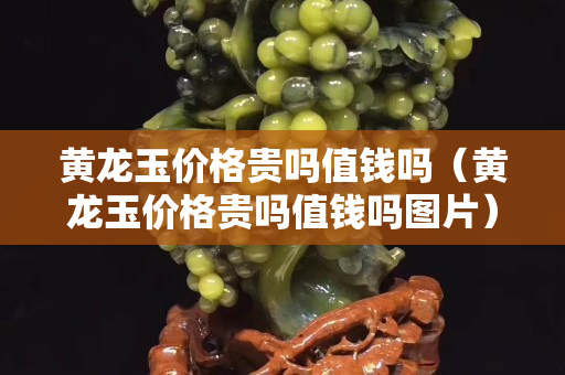 黃龍玉價格貴嗎值錢嗎（黃龍玉價格貴嗎值錢嗎圖片）