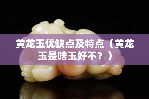 黃龍玉優(yōu)缺點及特點（黃龍玉是啥玉好不？）