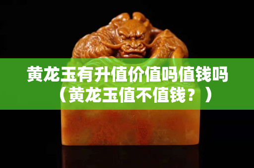 黃龍玉有升值價值嗎值錢嗎（黃龍玉值不值錢？）