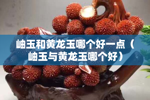 岫玉和黃龍玉哪個好一點（岫玉與黃龍玉哪個好）